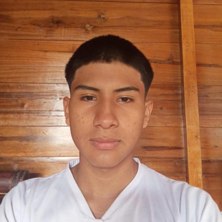 User Image